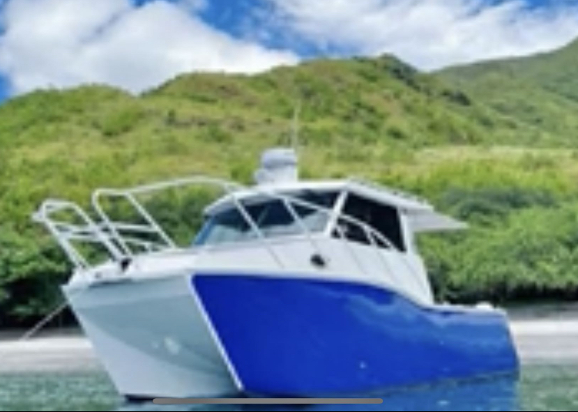 Catamaran Twin Hull 8.8 Plate Alloy on Alloy Trailer